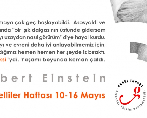 Einstein / Engelliler Haftası 10-16 Mayıs